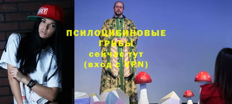 нарко площадка какой сайт  Венёв  Галлюциногенные грибы MAGIC MUSHROOMS 